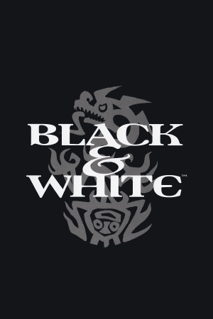 Постер Black and White
