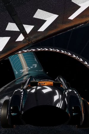 Постер Critical Gravity