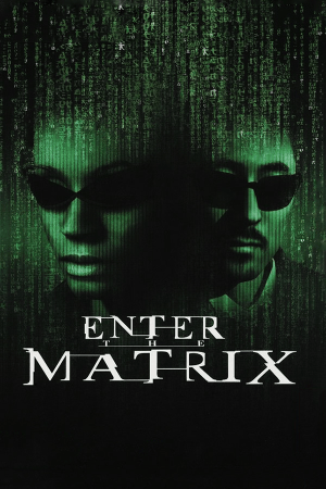 Постер Enter the Matrix